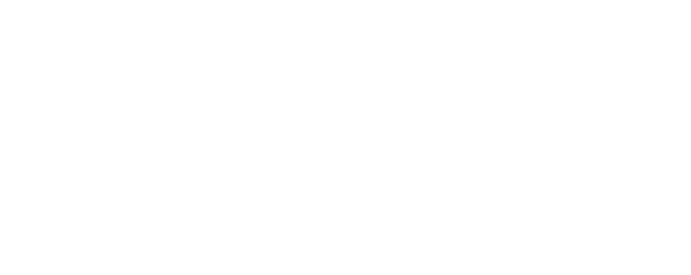BluePeak Advisors Logo